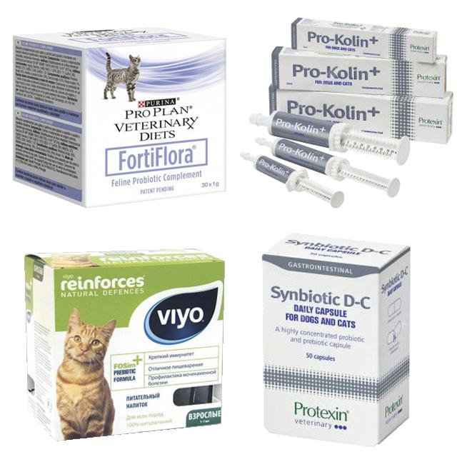 Как правильно выбрать пробиотики и пребиотики для кошек
